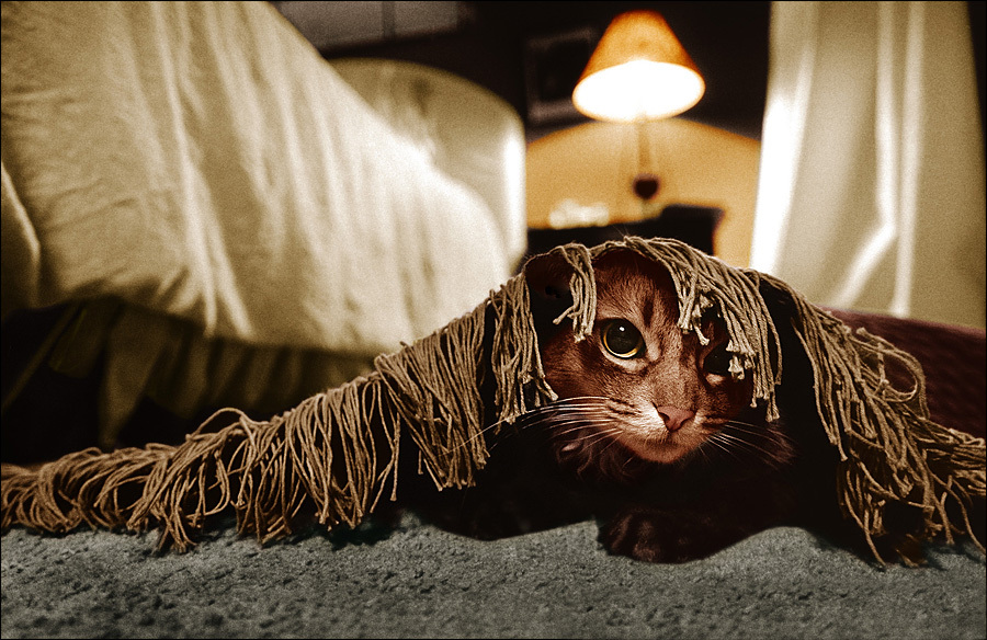 Copyright Gary Parker - ALL RIGHTS RESERVED Copyright Gary Parker - ALL RIGHTS RESERVED