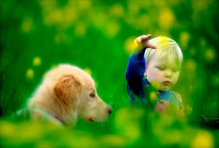 Golden Retriever pup with human pup...