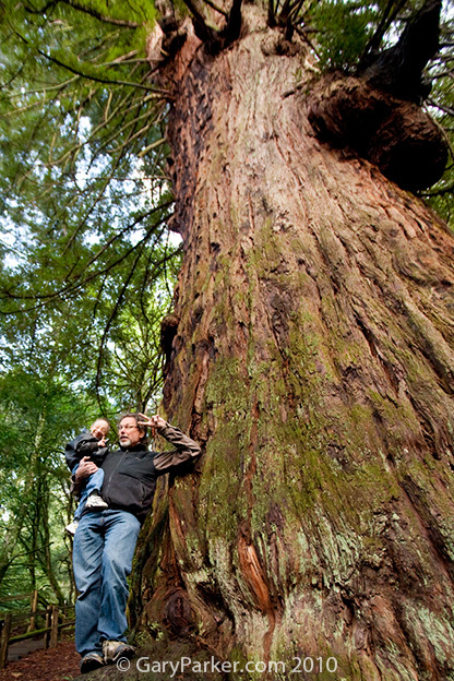 Nick & Gary up a BIG tree...  Please help those with MOPDII Primordial Dwarfism by making a donation to "POTENTIALS FOUNDATION" 

CLICK   HERE TO MAKE A DONATION OR TO OFFER ASSISTANCE OF ANY KIND  
