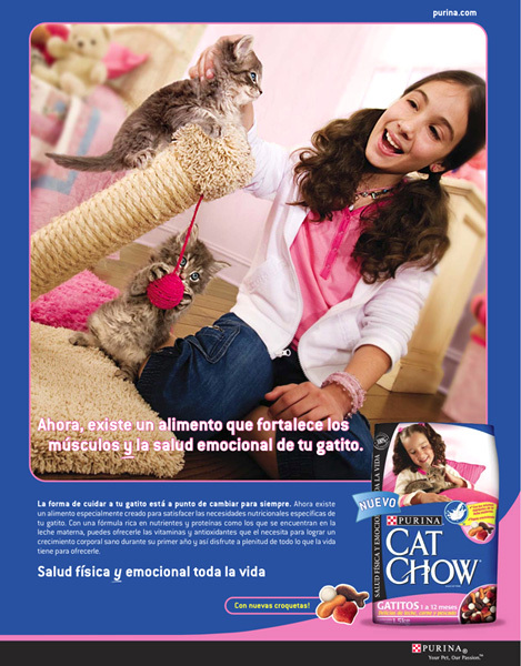 Purina Cat Chow - Latin America