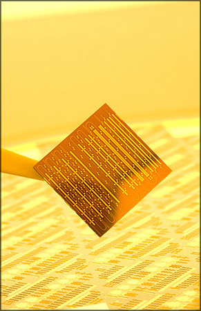 Intel - Silicon Laser Chip / Macro photography