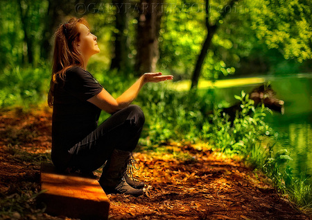 Lands of Jikoji Zen Center, Santa Cruz Mountains