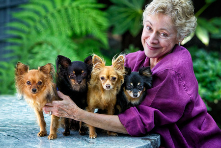 Carol Bailey with her rare Russian Toy Terriers...