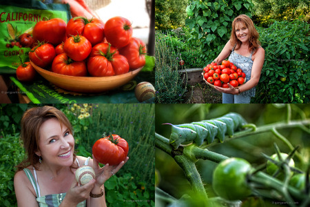 Backyard organic gardening, San Jose, CA