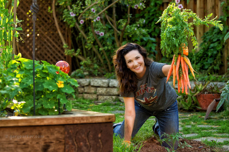 Backyard harvest from raised-bed organic garden