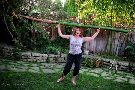 Giant bamboo - really BIG grass