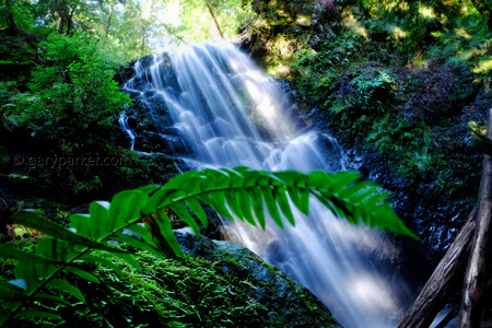 Berry Creek Falls / Big Basin Redwoods State Park 