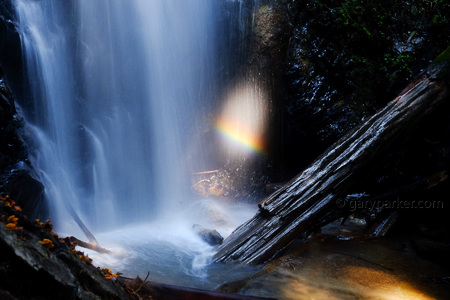 Berry Creek Falls / Big Basin Redwoods State Park 