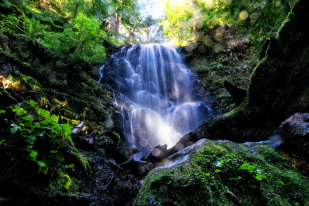 Berry Creek Falls / Big Basin Redwoods State Park 