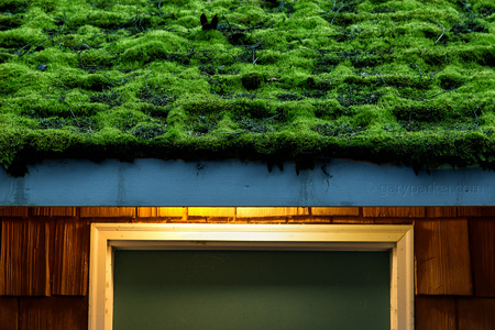 Moss covered rooftop at sunset / Whidbey Island, WA