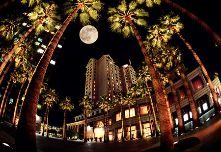 Fairmont Hotel with Circle of Palms for Sunset Matgazine and the Fairmont Hotel